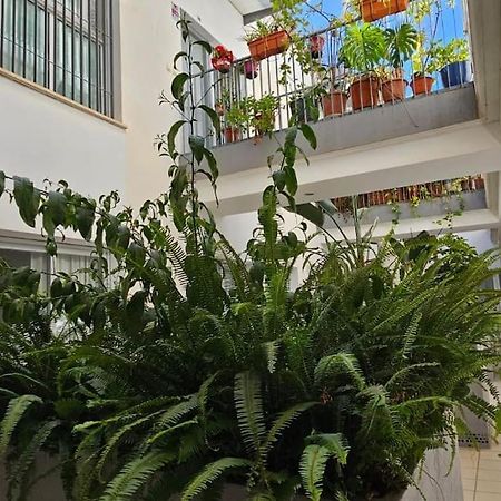 Suite Trinidad Centro Málaga Esterno foto